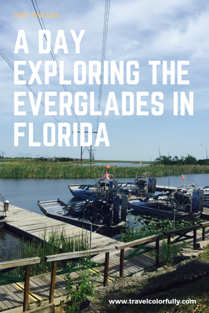 A day in the Everglades at Sawgrass Recreation Park #FLorida