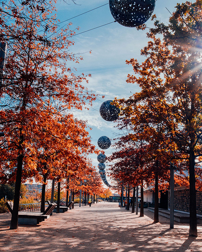 autumn in london