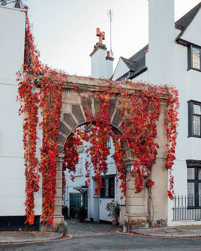 autumn in london