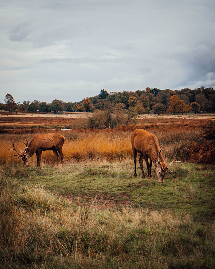 autumn in london