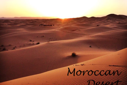 moroccan desert trip