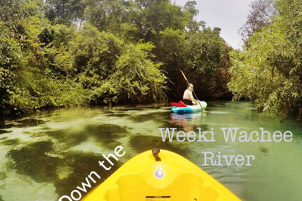 Weeki Wachee River