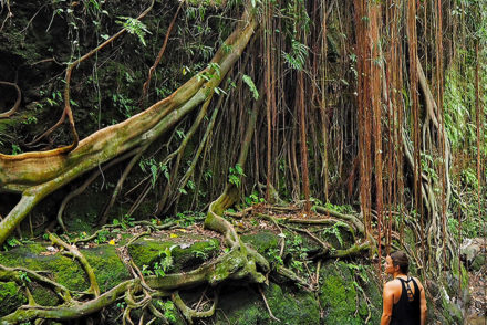 ubud