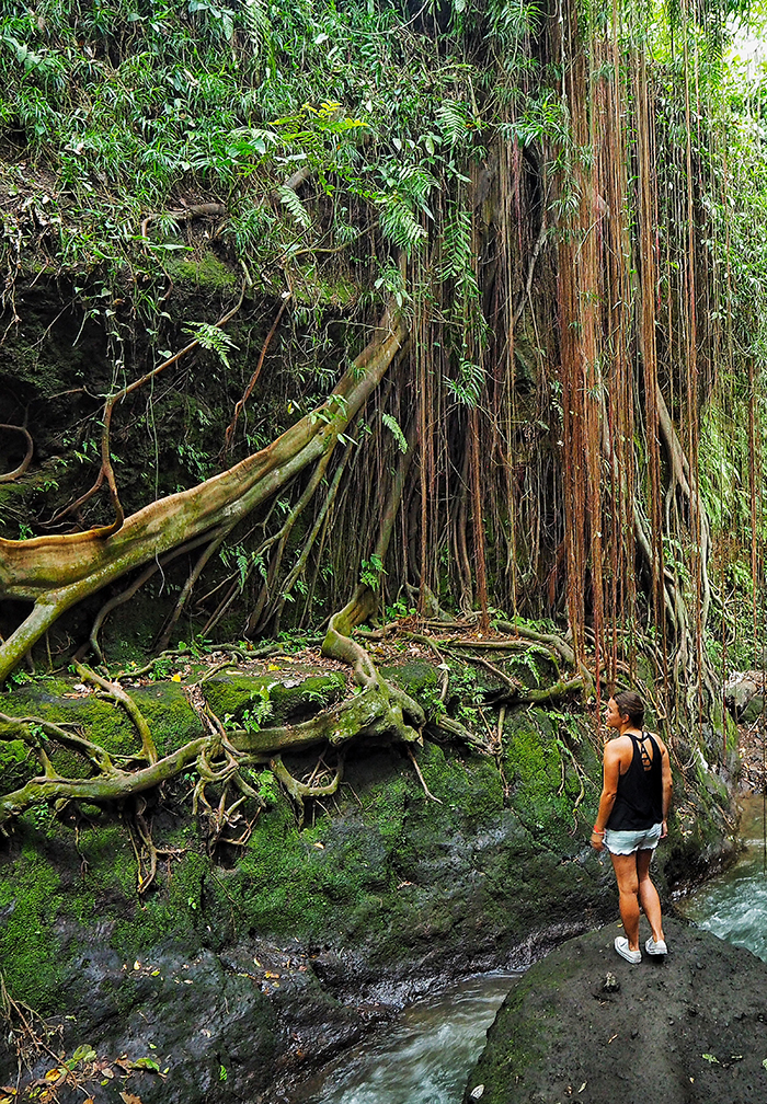 ubud