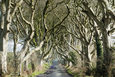 Game of Thrones Tour