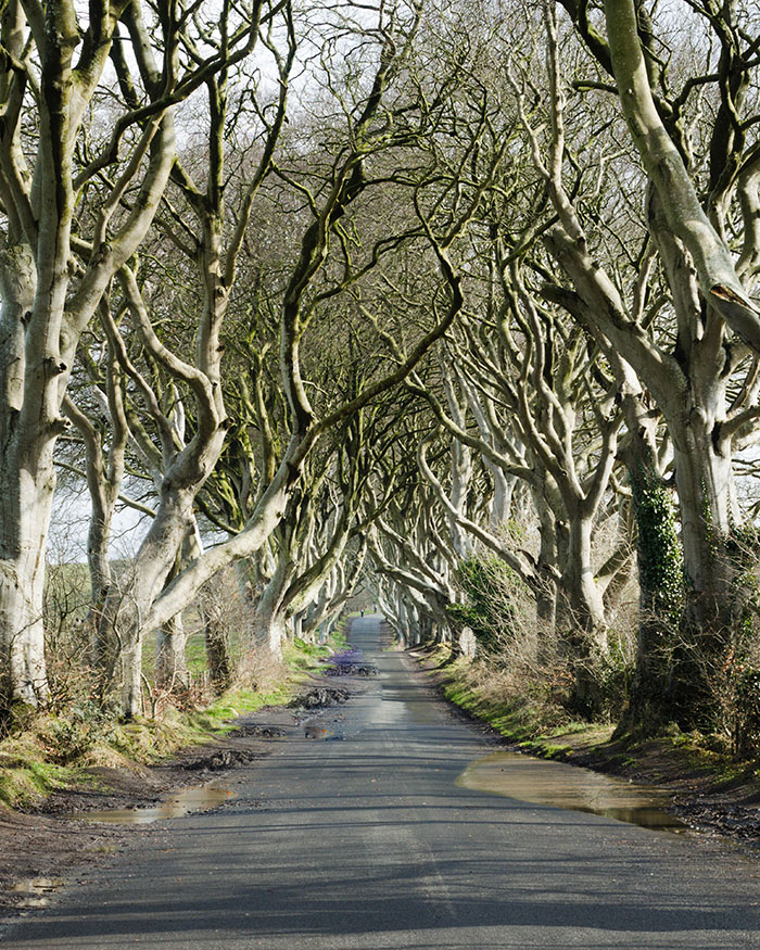 Game Of Thrones Locations Northern Ireland