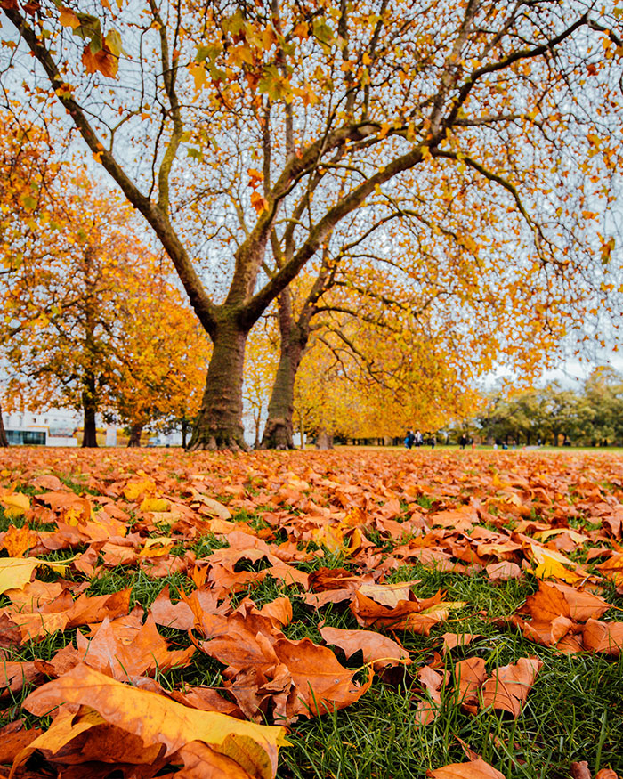 The Best Places to Experience Autumn in London - #travelcolorfully